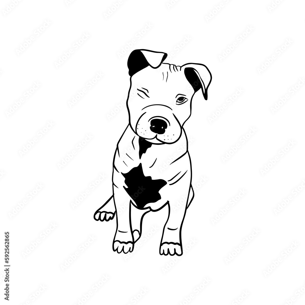Vector sketch hand drawn silhouette of a pit bull puppy, doodle style