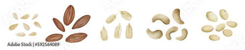 Wallpaper Mural Digital watercolor set of cashew, sesame, amount, sunflower seeds, and soy. Vegan healthy food Torontodigital.ca