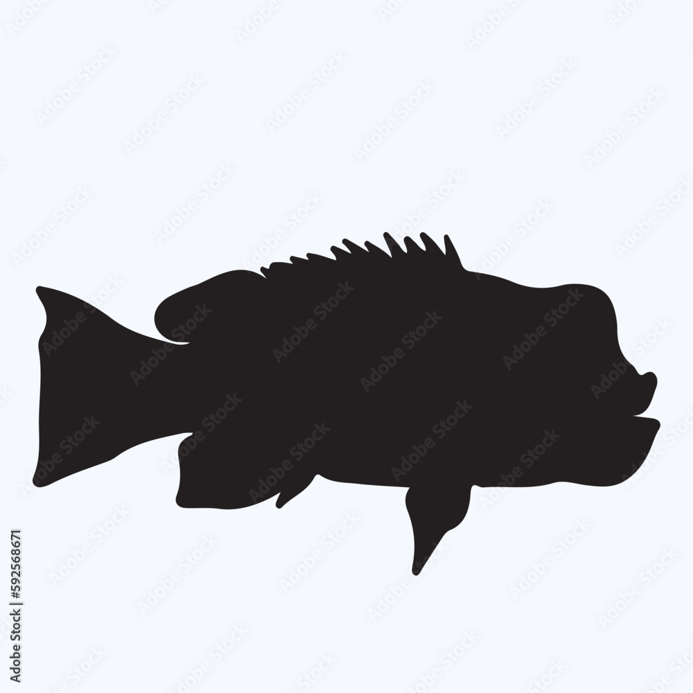 Wrasse silhouettes and icons. Black flat color simple elegant Wrasse animal vector and illustration. Wrasse silhouettes and icons. Black flat color simple elegant Wrasse animal vector and illustration.