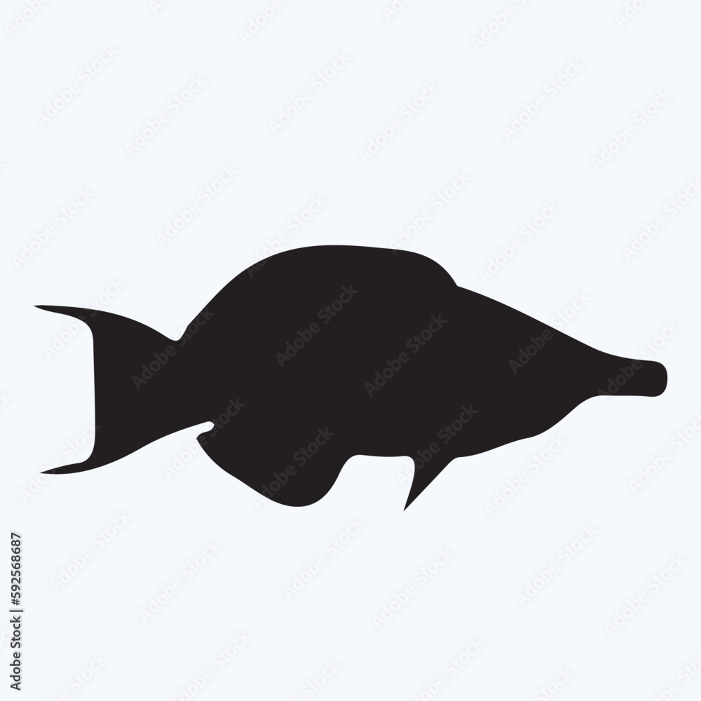 Wrasse silhouettes and icons. Black flat color simple elegant Wrasse animal vector and illustration. Wrasse silhouettes and icons. Black flat color simple elegant Wrasse animal vector and illustration.
