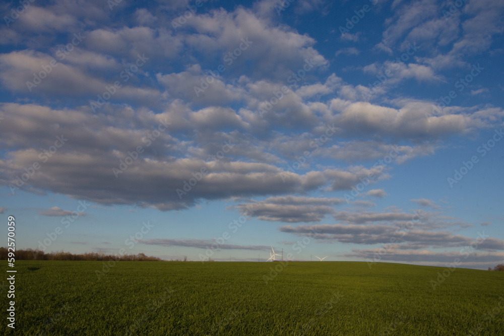 photo of a green field with a beautiful cloudy blue sky