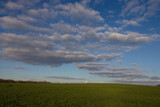 photo of a green field with a beautiful cloudy blue sky