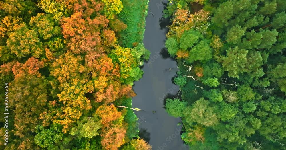 Amazing river and forest in fall. Aerial view of wildlife. Amazing river and forest in fall. Aerial view of wildlife.