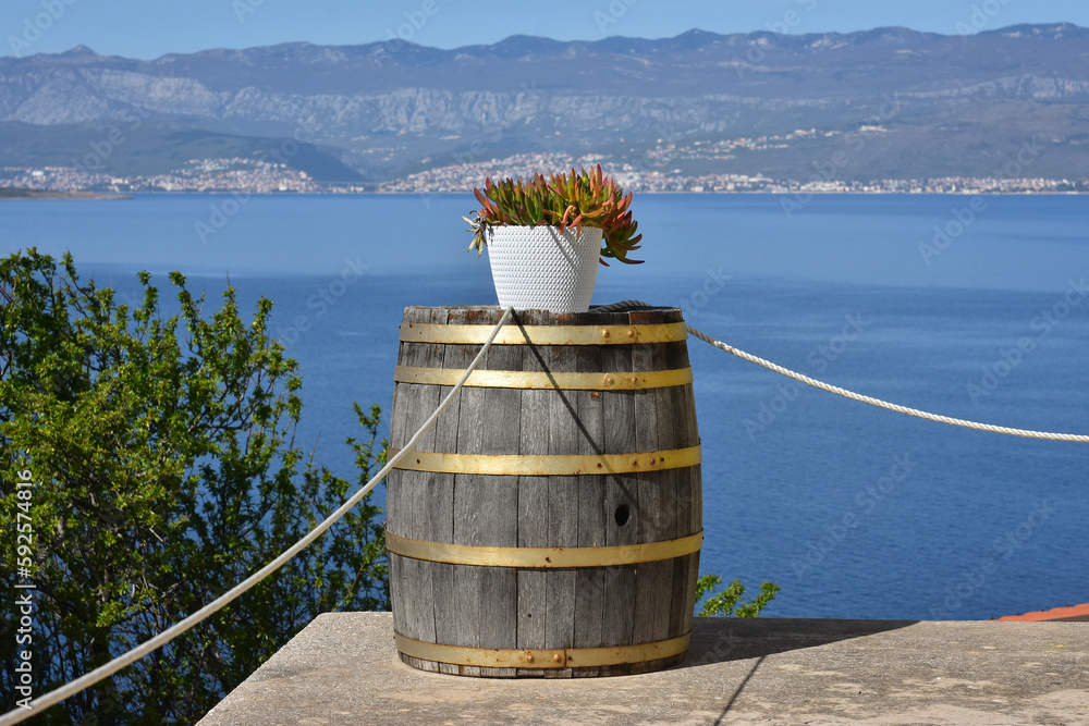 Decorative barrel used as a flowerbed, Vrbnik, Istria, Croatia. Decorative barrel used as a flowerbed, Vrbnik, Istria, Croatia.