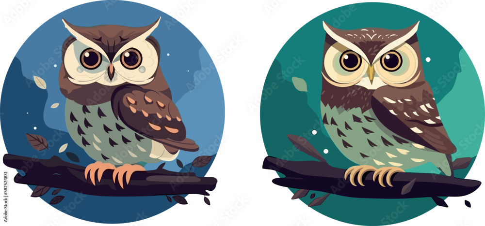 Cute owl on a branch. Vector illustration on a white background. In a hand-drawn style. Set, blue and green circles