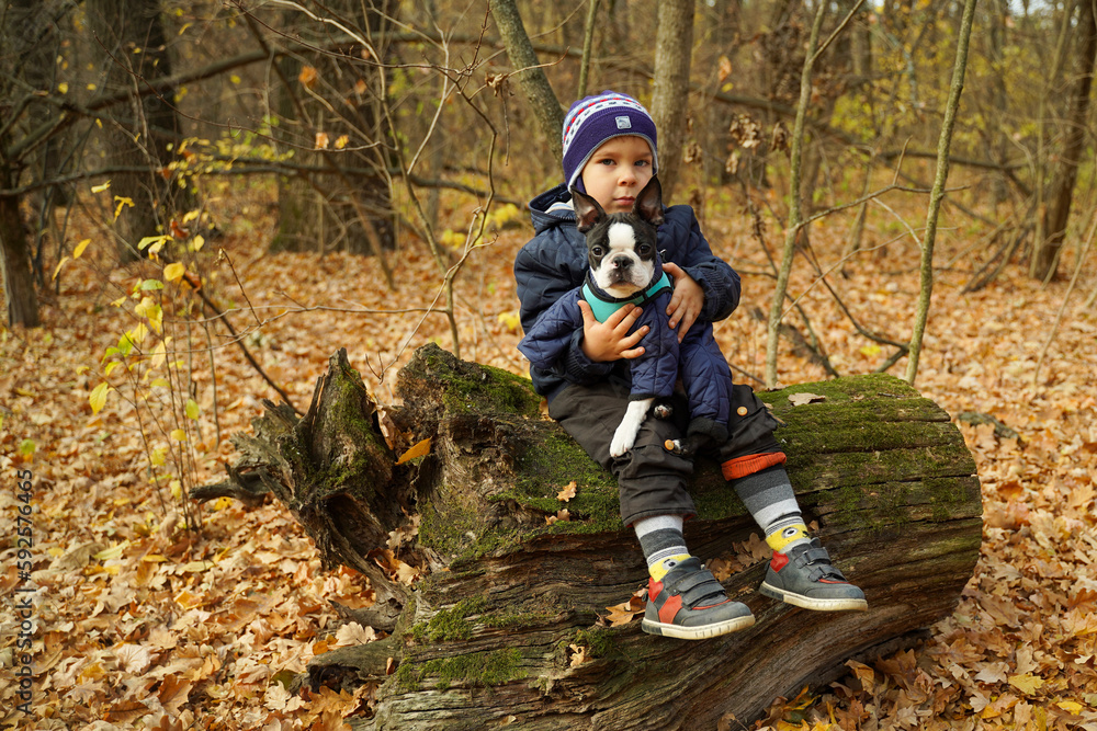 A cute boy with a smile hugs his beloved dog sitting in the forest. Walk with a pet