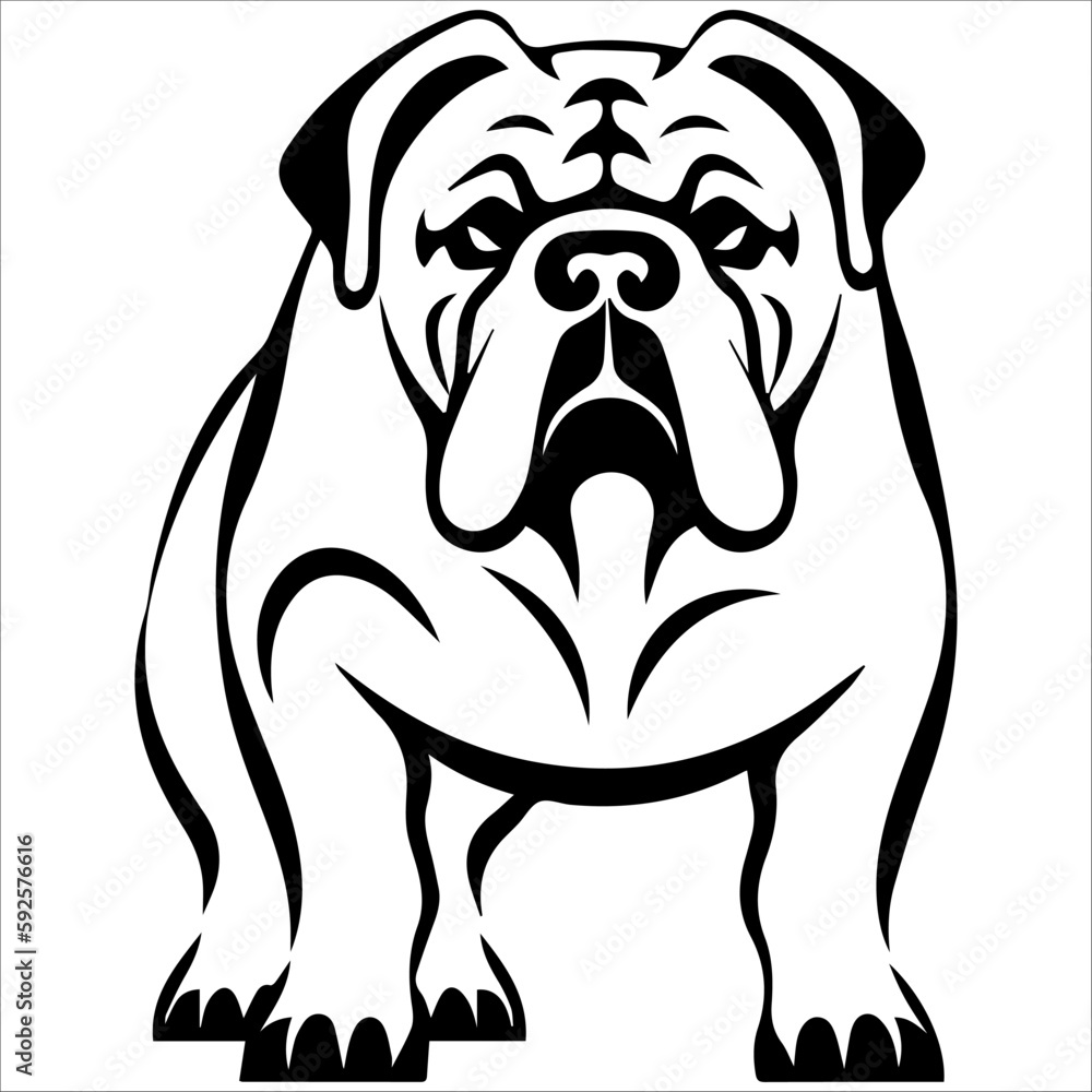 bulldog in vector isolated on white bulldog in vector isolated on white