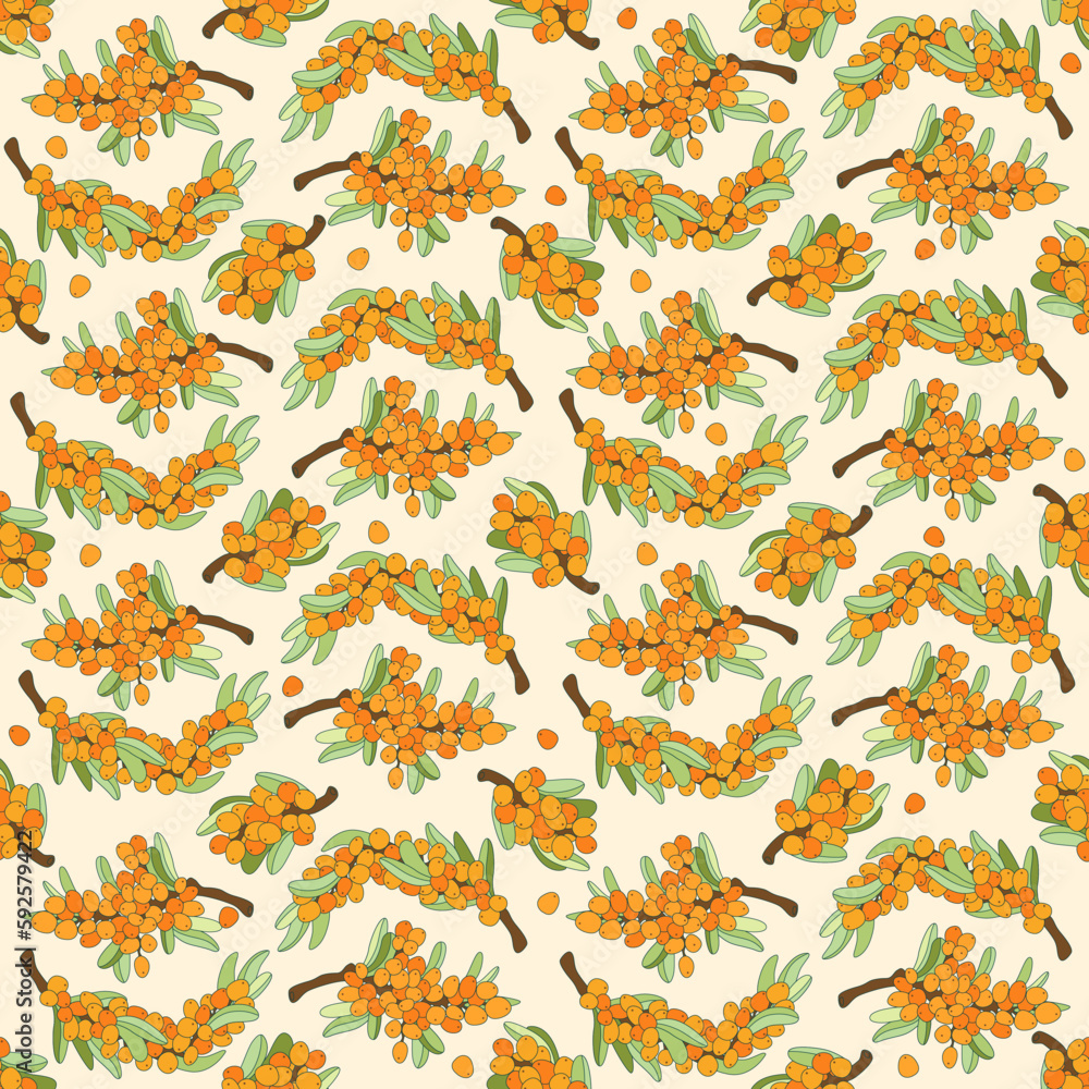 Fototapeta premium Sea buckthorn berries and leaves. Vector outline drawn illustration seamless pattern