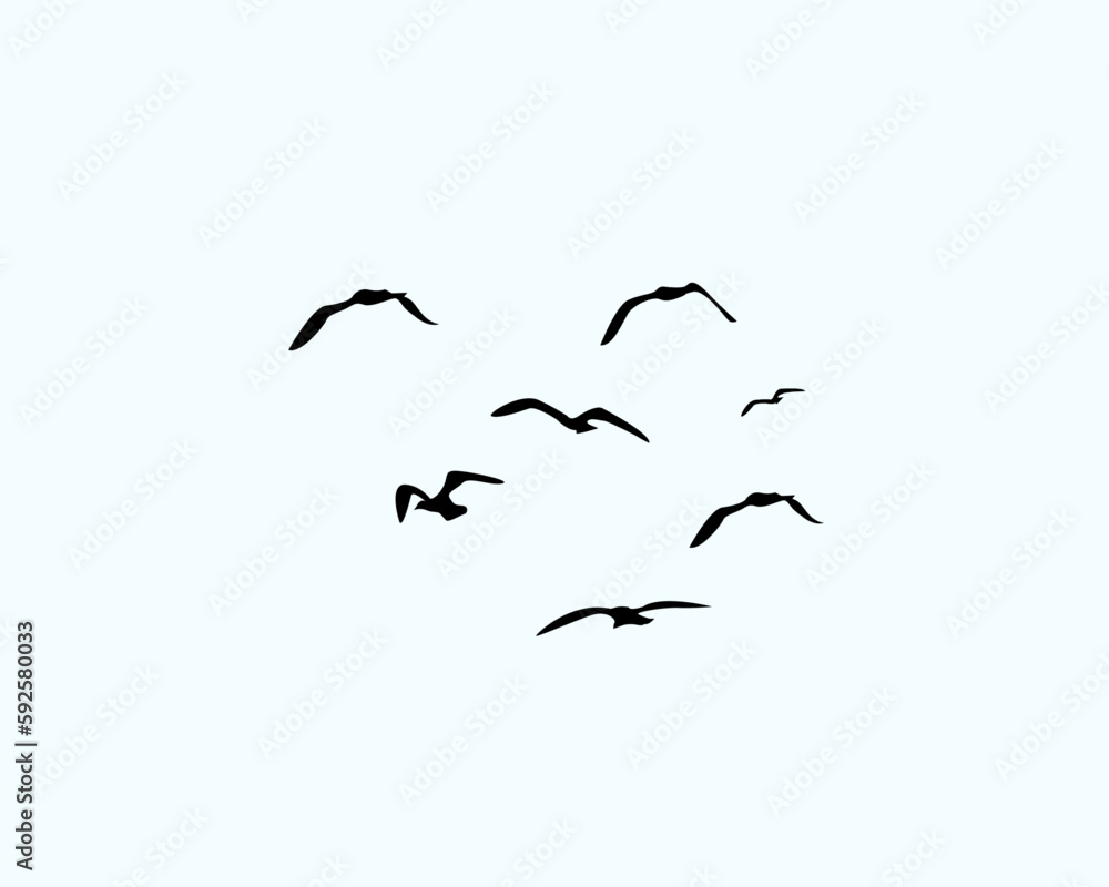 Obraz premium FLOCK OF BIRD FLY ON THE SKY