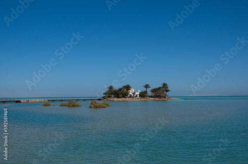 A house and palms at beautiful island in El Gouna, Red Sea, Egypt, Africa © Maksym