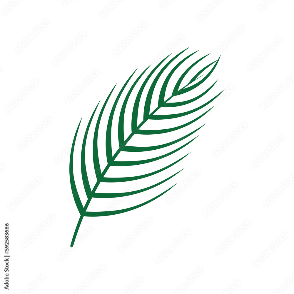 Fototapeta premium Leaf Palm Green