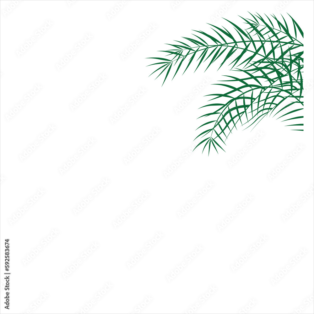 Leaf Palm Green