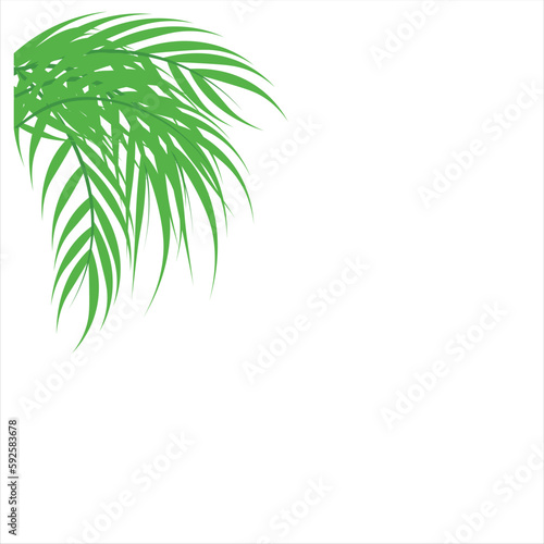 Leaf Palm Green