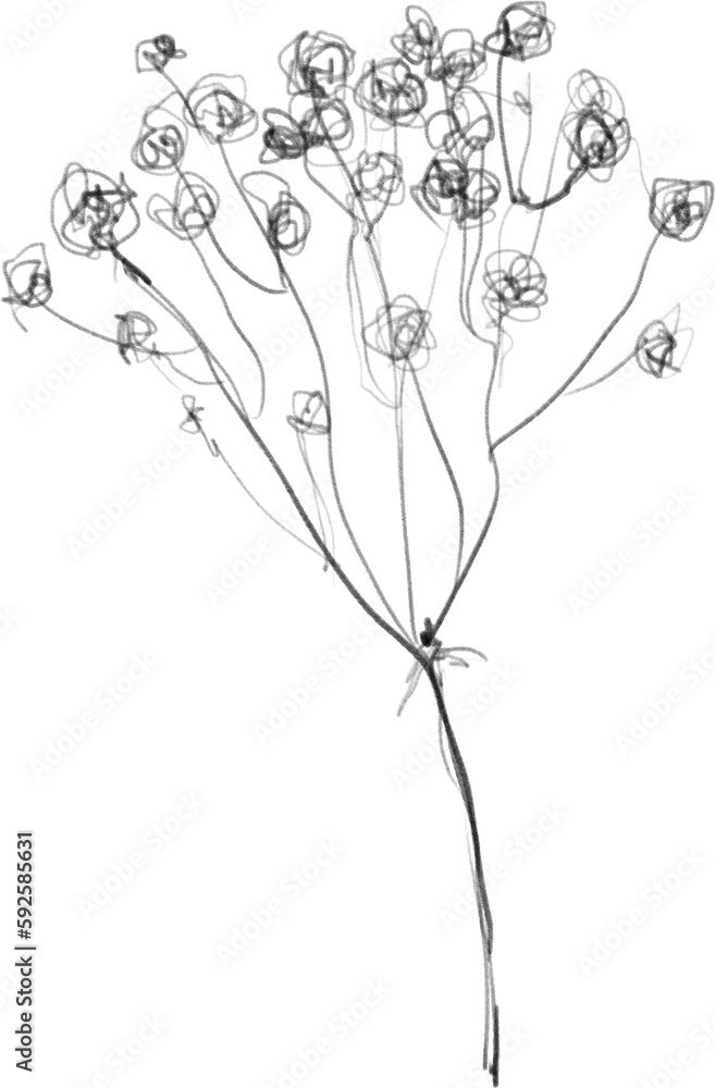 Twig with tiny flowers sketch, botanical lineart illustration