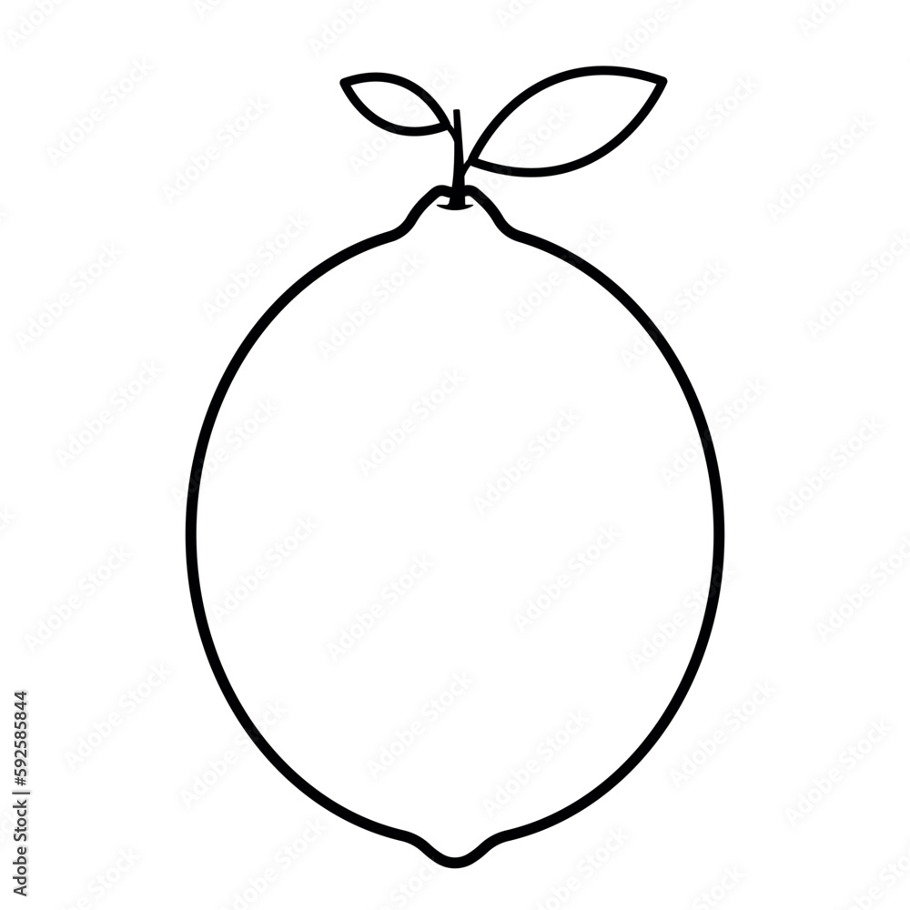 Lime Line Drawing Icon Fruit Vector Illustration Lime Line Drawing Icon Fruit Vector Illustration