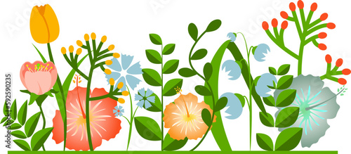 Flower border made of various garden plants vector