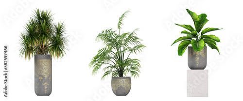 decorative flower in a pot isolate on a transparent background, 3D illustration, cg render