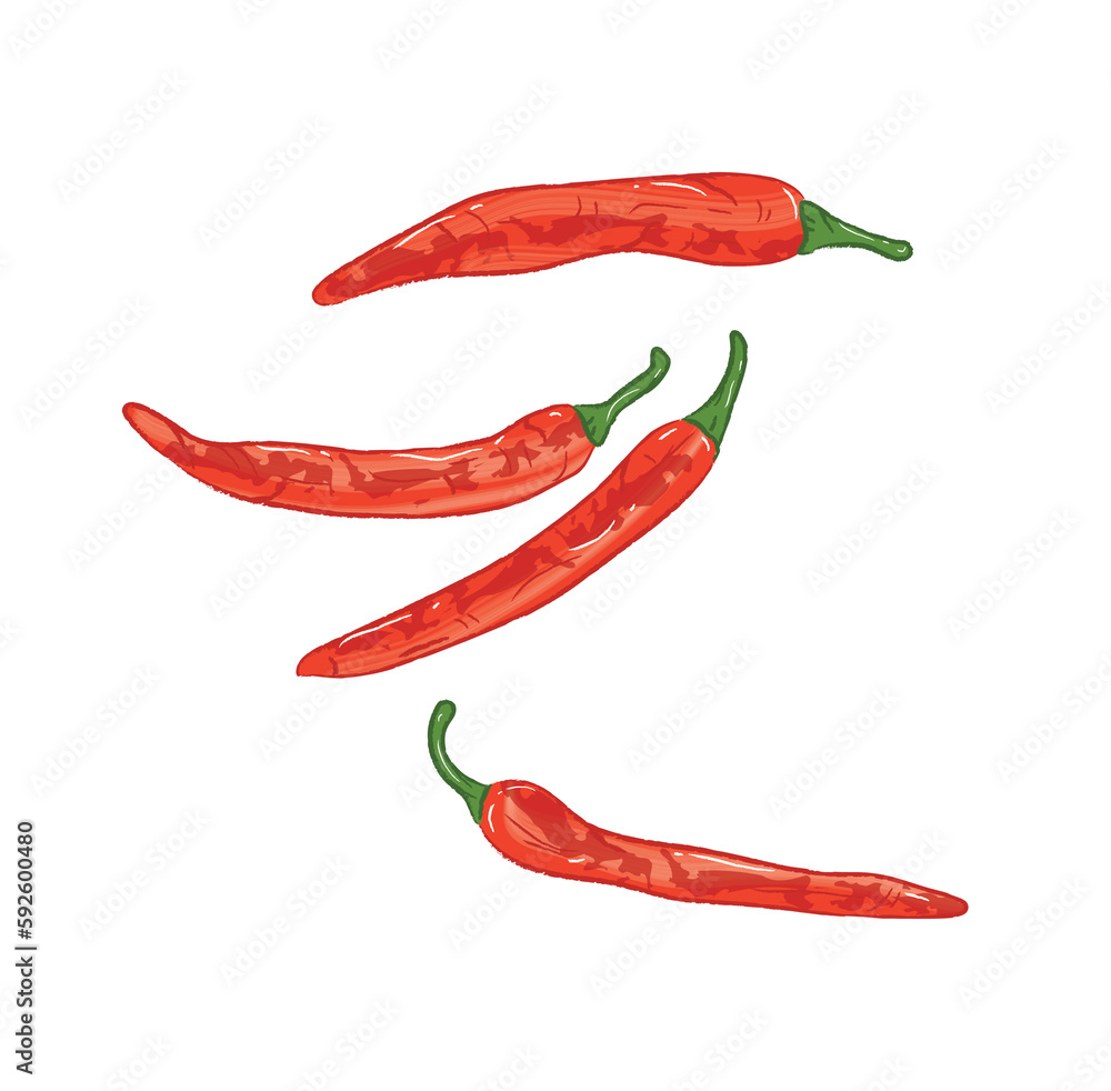 Whole raw red chilies food ingredient illustration