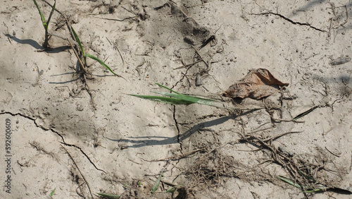 dry earth climate change