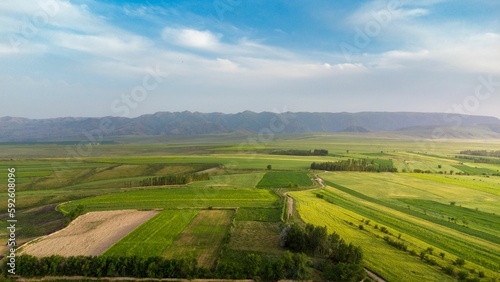 Bird's eye view of green cultivated fields in the countryside