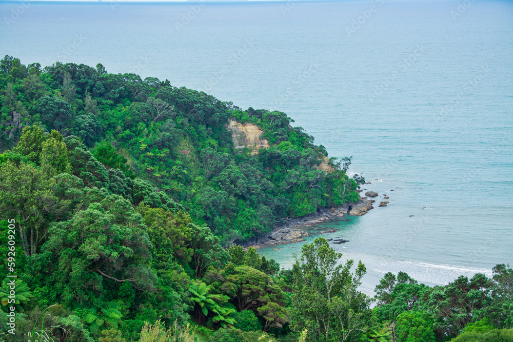 Beautiful sea landscape. Looking down a green cove with azure waves rolling over coastal rocks. Whakatane, North Island, New Zealand Beautiful sea landscape. Looking down a green cove with azure waves rolling over coastal rocks. Whakatane, North Island, New Zealand