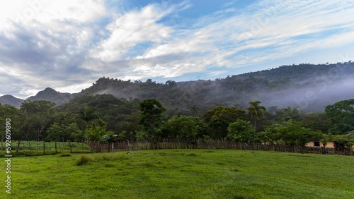 Landscape of green meadows with trees with foggy mountains in the background