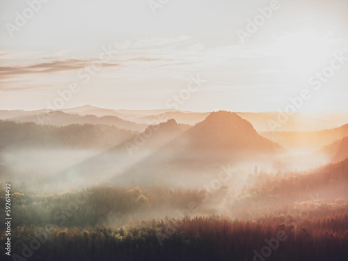 Beautiful shot of forest mountains in foggy weather during the sunset