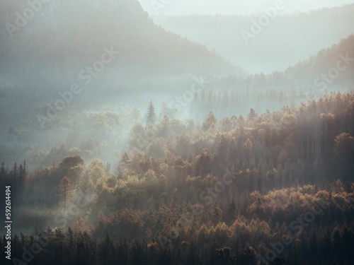 Beautiful shot of forest mountains in foggy weather