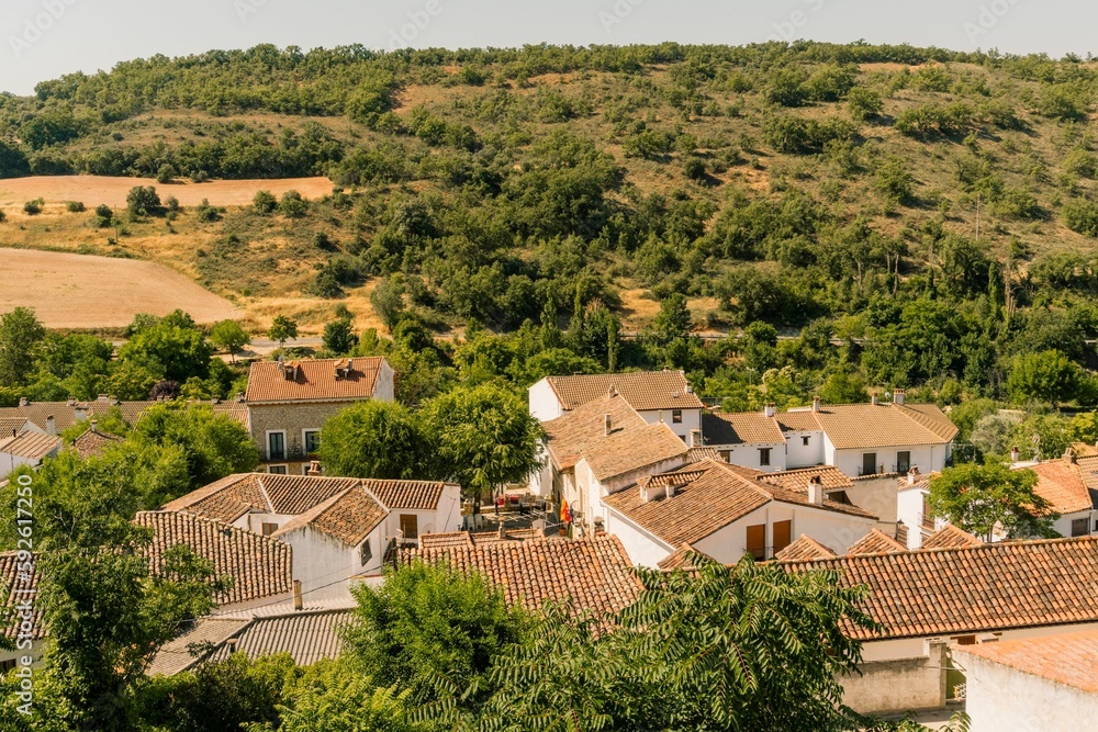 Roofs of the houses surrounded by green lush trees on a sunny day