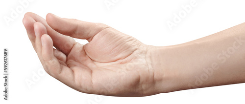 Palm up hand gesture, asking, holding or taking something, cut out