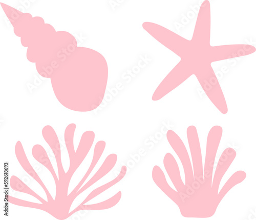 Sea shell starfish coral algae silhouette vector illustration photo