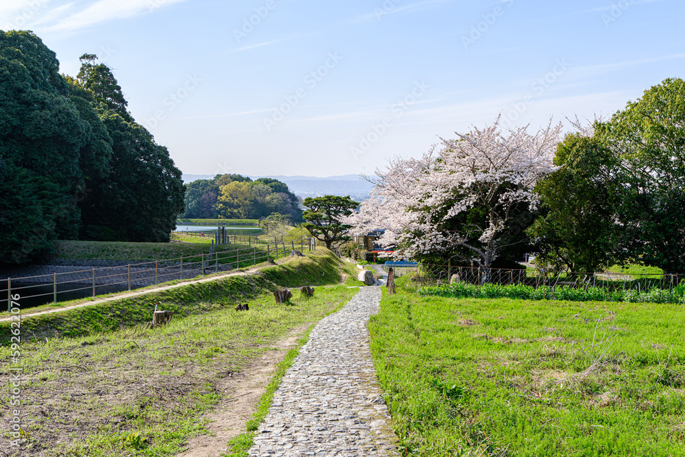 【奈良県】山辺の道