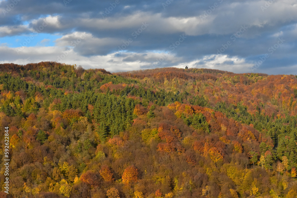 A forested mountain (Cergowa) in autumn colors in Beskid Niski, Poland. - obrazy, fototapety, plakaty 