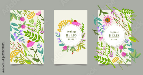 Organic Collection, Eco Shop, Natural Cosmetic Store with Premium Quality Cards or Posters Set. Selling Products Advertisement. Natural Design with Leaves in Different Colors. Herbs.