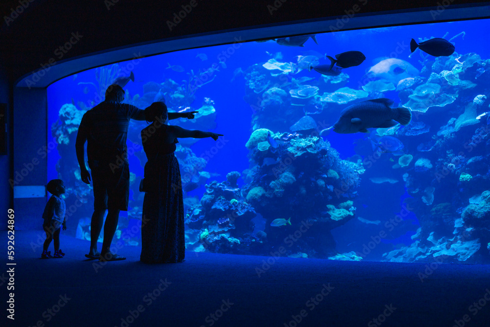 Silhouette of parents who show fish in an aquarium to the little daughter.