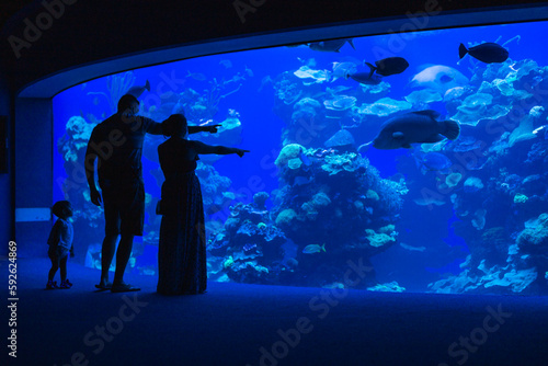 Obraz na płótnie Silhouette of parents who show fish in an aquarium to the little daughter. w salonie