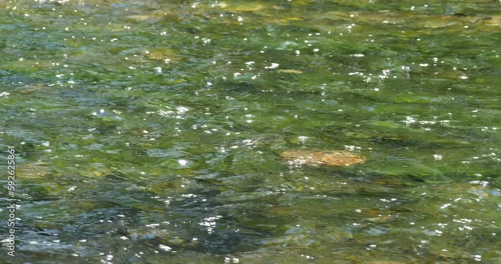 river flowing fresh water scenery on mountains nature scenery river flowing fresh water scenery on mountains nature scenery