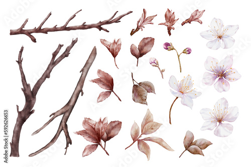 Set of Watercolor viva magenta cherry blossoms elements