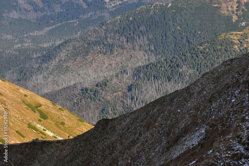 A high-mountain hiking trail in the Western Tatras.