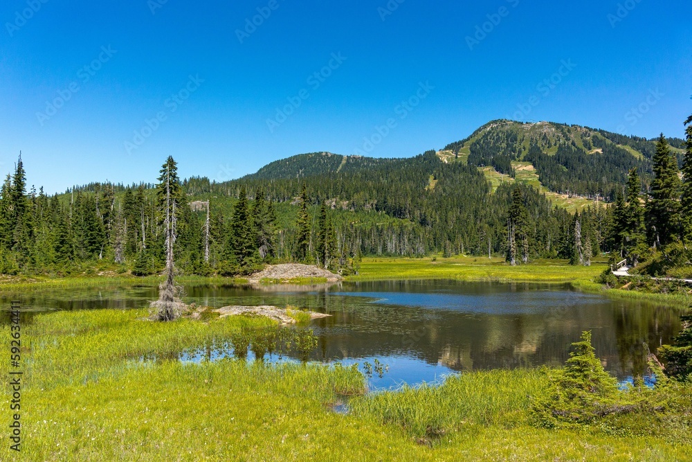 Fototapeta premium Meadow with a lake and mountains in the background