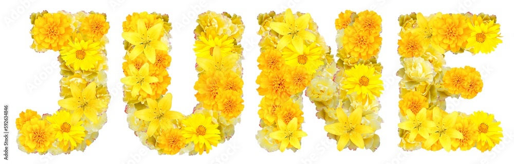 word june with yellow flowers - obrazy, fototapety, plakaty 
