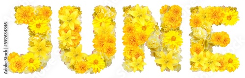 word june with yellow flowers