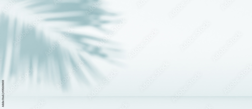Obraz premium background with palm shadow 