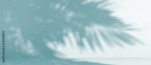 blurred shadow of palm leaves on a blue wall. Abstract minimal background for a product presentation. Summer and spring seasons
