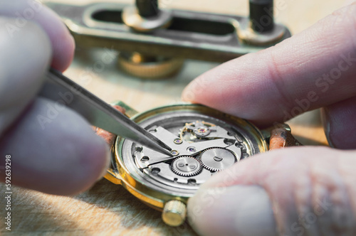 Timeless Precision: A Watchmaker's Artistry in Action