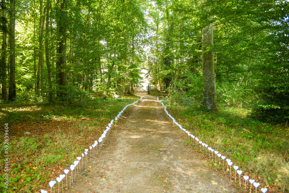 Fototapeta premium Le chemin qui mène à la cérémonie laique d'un mariage