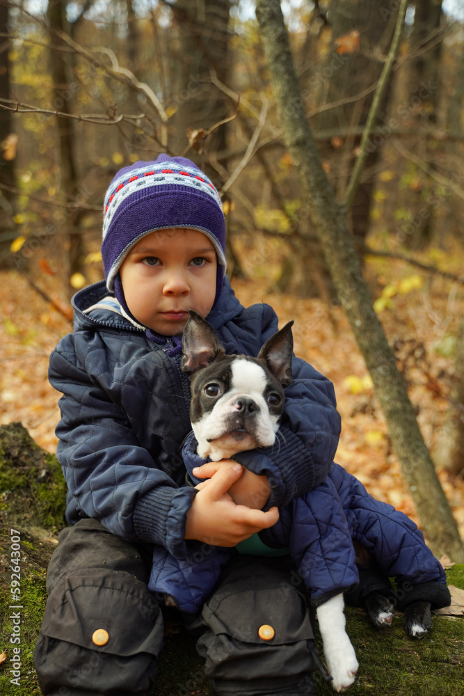 A toddler with his beloved dog in nature in the forest. The Boston Terrier is dressed in fashionable clothes. Best friends sit on a fallen tree A toddler with his beloved dog in nature in the forest. The Boston Terrier is dressed in fashionable clothes. Best friends sit on a fallen tree