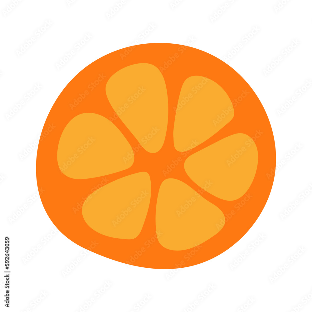 Orange, lime, lemon, citrus fruit slice hand drawn illustration. Cartoon style flat design, isolated vector. Summer food, seasonal print, menu element, holidays, vacations, beach, pool party