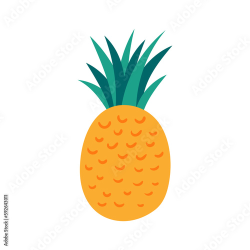 Tropical fruit pineapple hand drawn illustration. Cartoon style flat design, isolated vector. Summer food, exotic fruit, seasonal print, menu element, holidays, vacations, beach, pool party