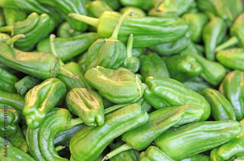 Padrón peppers, some are spicy and others are not. Product from Galicia, Spain